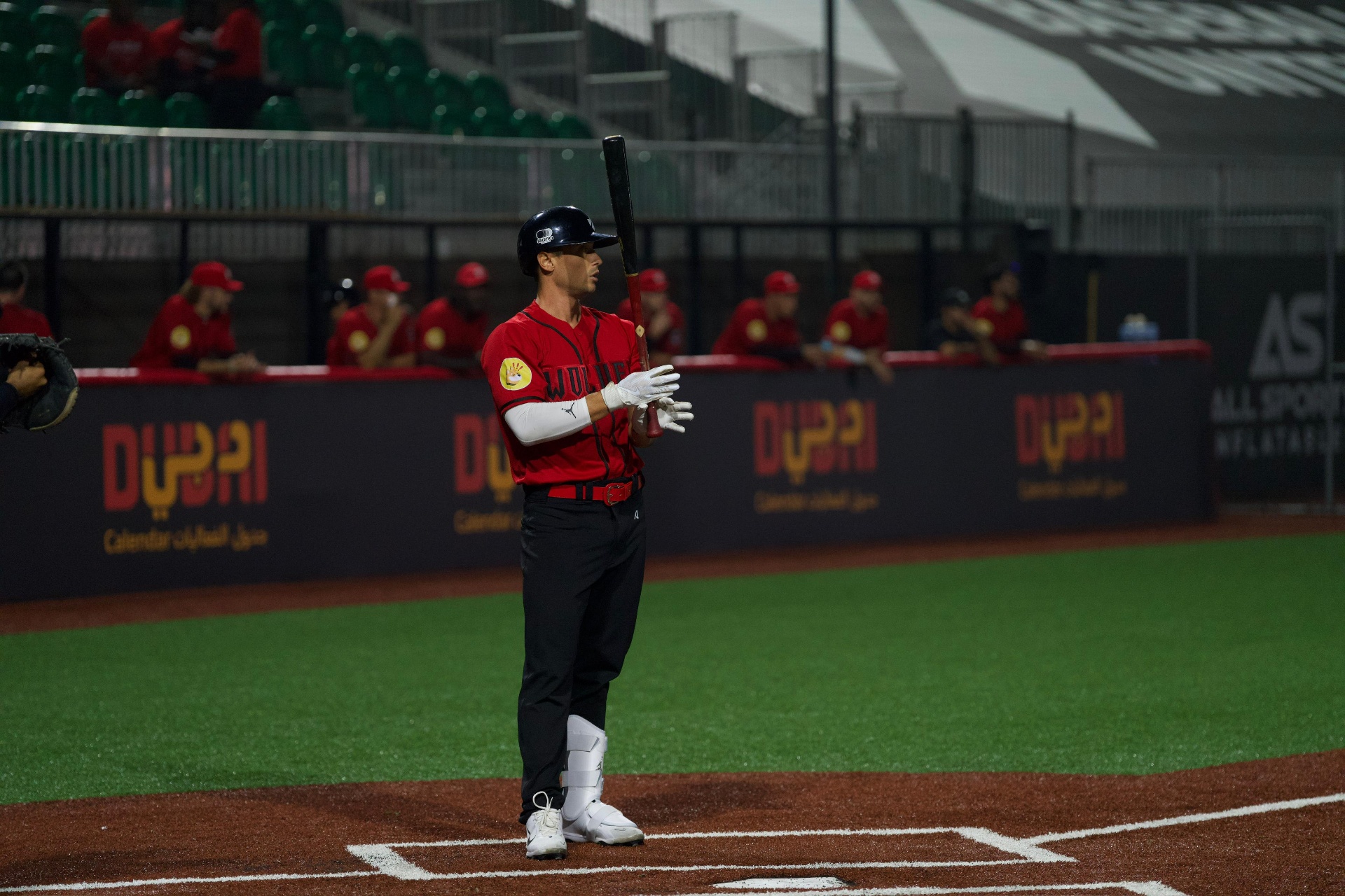 Chris batting for the Arabia Wolves in Dubai